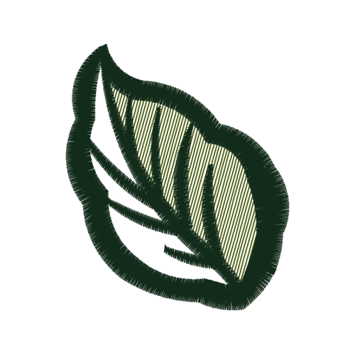 Illustration Flowers Illustration Flowers