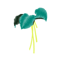 Illustration Flowers Illustration Flowers