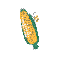 Illustration Flowers Illustration Flowers