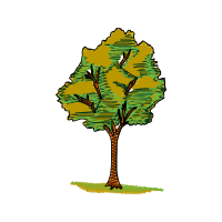 Illustration Flowers Illustration Flowers