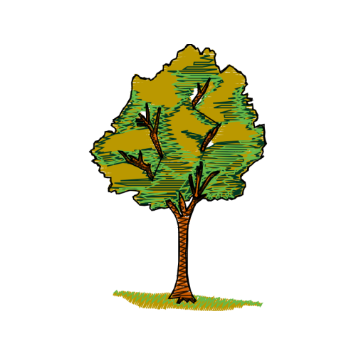 Illustration Flowers Illustration Flowers