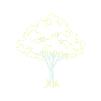 Illustration Flowers Illustration Flowers