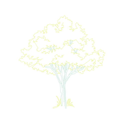 Illustration Flowers Illustration Flowers