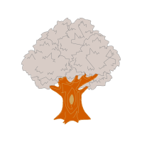 Illustration Flowers Illustration Flowers