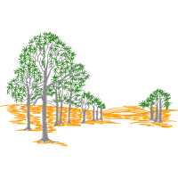 Illustration Flowers Illustration Flowers