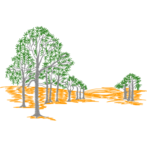 Illustration Flowers Illustration Flowers