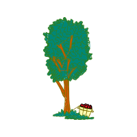 Illustration Flowers Illustration Flowers