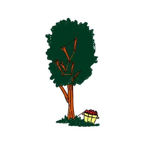 Illustration Flowers Illustration Flowers