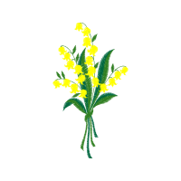 Illustration Flowers