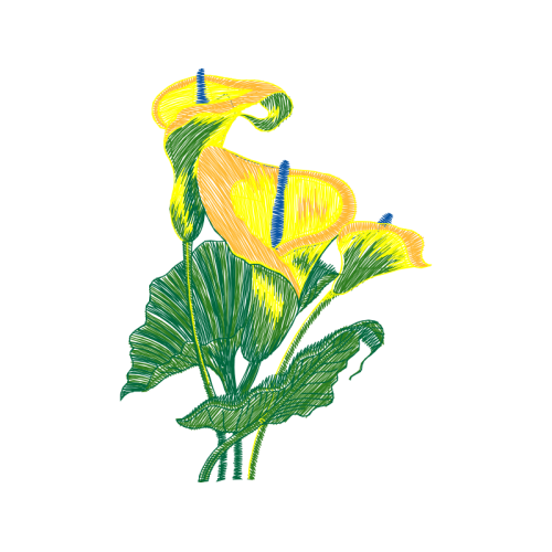 Illustration Flowers Illustration Flowers