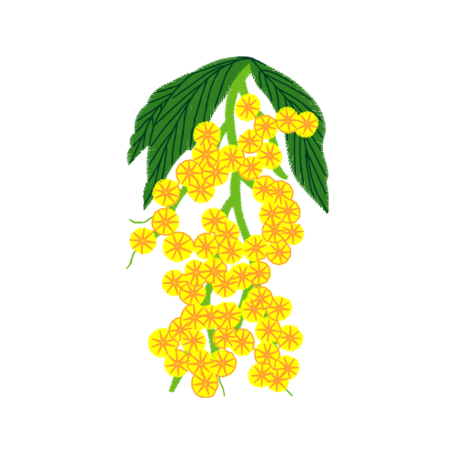 Illustration Flowers Illustration Flowers