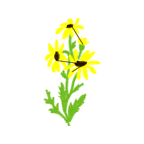 Illustration Flowers Illustration Flowers