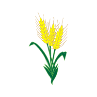 Illustration Flowers Illustration Flowers