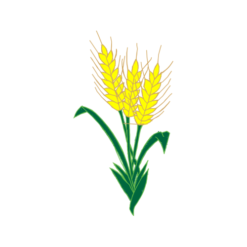 Illustration Flowers Illustration Flowers