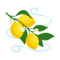 Illustration Flowers Illustration Flowers