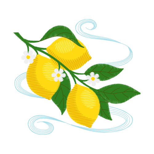 Illustration Flowers Illustration Flowers