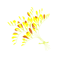 Illustration Flowers Illustration Flowers