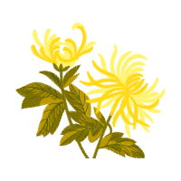 Illustration Flowers Illustration Flowers