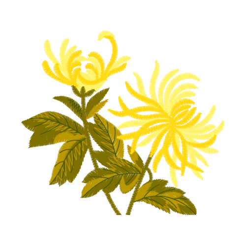 Illustration Flowers Illustration Flowers