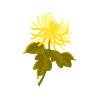 Illustration Flowers Illustration Flowers