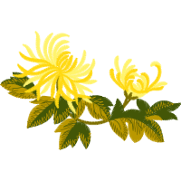 Illustration Flowers Illustration Flowers