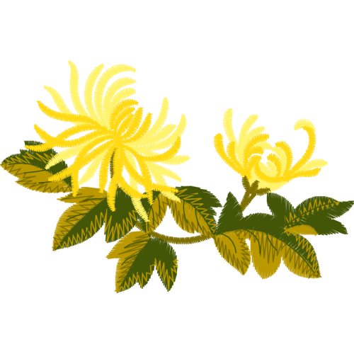 Illustration Flowers Illustration Flowers