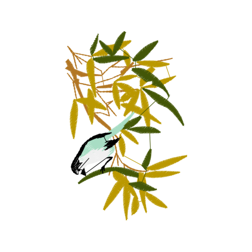 Illustration Flowers Illustration Flowers