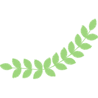 Illustration Flowers Illustration Flowers