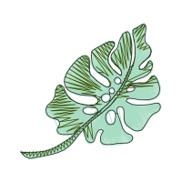 Illustration Flowers Illustration Flowers