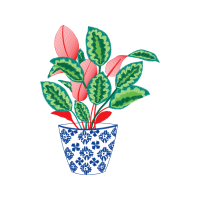 Illustration Flowers Illustration Flowers