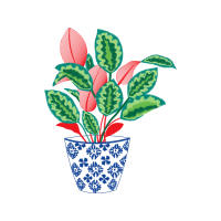 Illustration Flowers Illustration Flowers