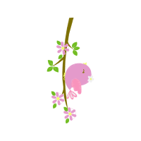 Illustration Flowers Illustration Flowers