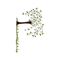 Illustration Flowers