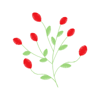 Illustration Flowers Illustration Flowers