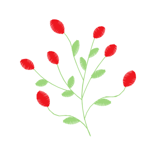 Illustration Flowers Illustration Flowers