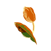 Invertebrate Flowers