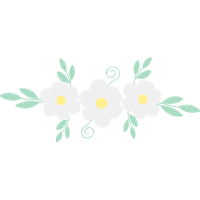 Japanese Camellia Flowers