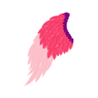 Jurema Preta Flowers Jurema Preta Flowers