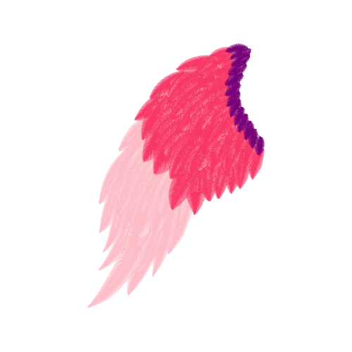 Jurema Preta Flowers Jurema Preta Flowers