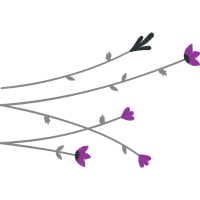 Lavender Flowers Lavender Flowers