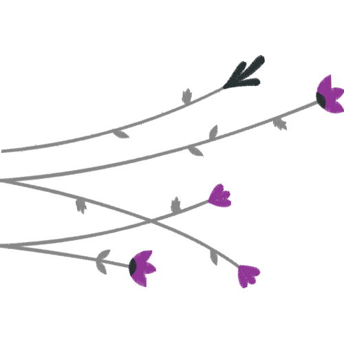 Lavender Flowers Lavender Flowers