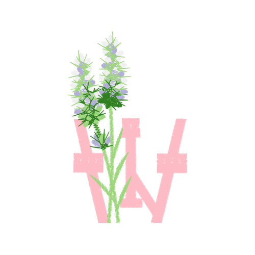 Lavender Flowers Lavender Flowers