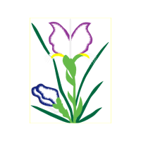 Lavender Flowers Lavender Flowers