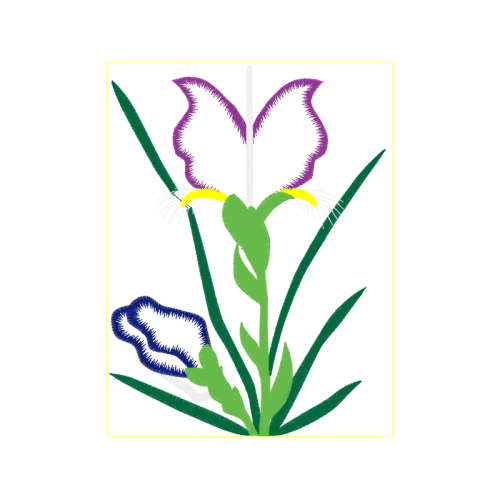 Lavender Flowers Lavender Flowers