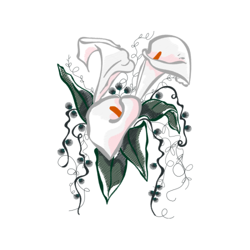 Line Art Flowers Line Art Flowers