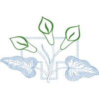 Line Art Flowers Line Art Flowers