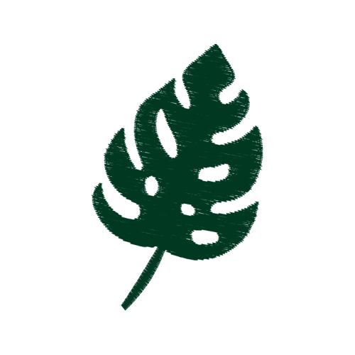 Line Art Flowers Line Art Flowers