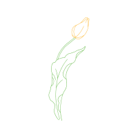 Line Art Flowers Line Art Flowers