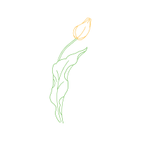 Line Art Flowers Line Art Flowers