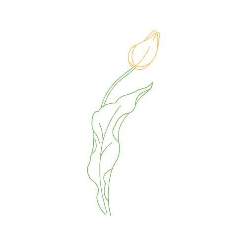 Line Art Flowers Line Art Flowers